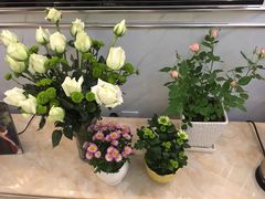 -白鹭湾湿地公园