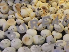 -墨茉点心局(国金街店)