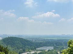 -上海佘山国家森林公园西佘山园