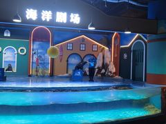 -重庆欢乐海底世界