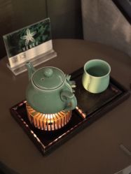 -VELEE·SPA高定疗愈会所