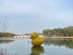 -昆山城市生态森林公园