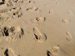 -亚龙湾海底世界