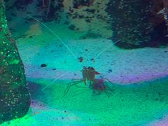 -沈阳海洋探索中心