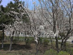 -辽宁大学(崇山校区)