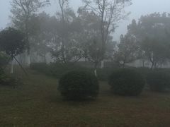-两河城市森林公园