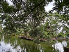 -海南热带野生动植物园