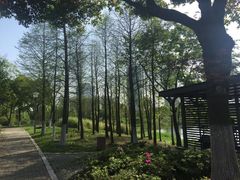 -尚贤河湿地