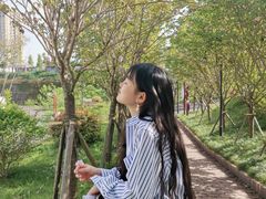 -石井坡(地铁站)