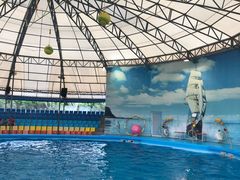 -尼莫海豚馆