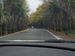 -上海海湾国家森林公园