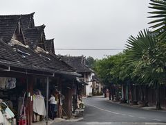 -西双版纳傣族园