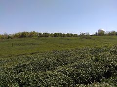 景点-南京市江宁方山