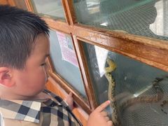 -上海大自然野生昆虫馆(东方明珠·爬宠昆虫探索中心)