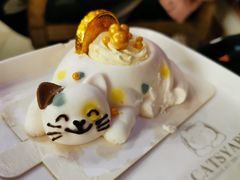 -猫小院猫主题餐厅(南锣旗舰店)