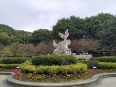 -金鸡山公园