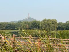 -北坞公园