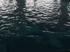 -秦皇国际大酒店健身中心