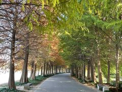 -石湖景区