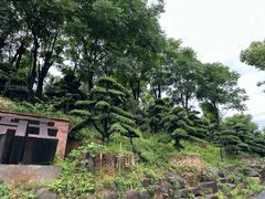 -杭州学军中学海创园学校