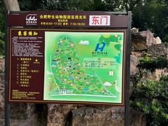 -合肥野生动物园