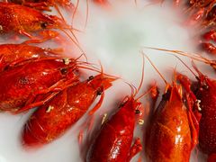 -沪小胖小龙虾(淮海中路旗舰店)