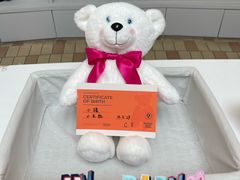 -济州岛泰迪熊博物馆