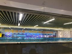 -水贝乐国际水育儿童游泳中心(新业广场店)