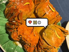 -老吉堂上海本帮菜(工体店)