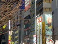 -Animate(秋叶原本馆)