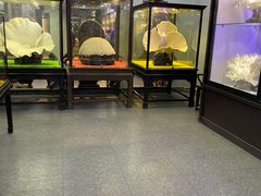 -游龙石文化科普馆