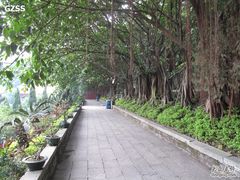 -南沙天后宫景区