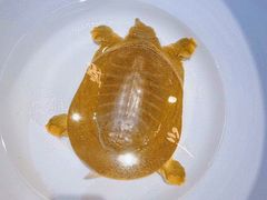 -赣江里•江西菜(望京旺角店)