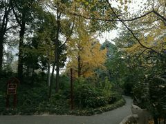 -成都市活水公园