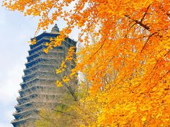 -玲珑塔公园