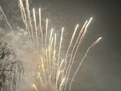 -大塘金香草谷