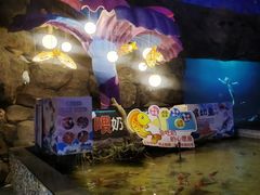 -烟台海昌鲸鲨海洋公园