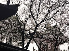 -寒山寺