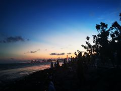 -深圳湾公园(南山区)