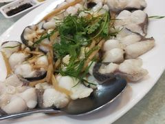 家乡蒸缩骨鱼片-顺德佬酒楼(愉龙店)