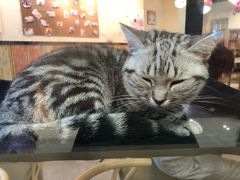 -蛙来哒(金沙洲万达店)