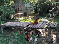 -西安秦岭野生动物园
