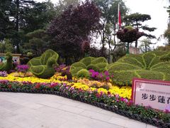 -莲湖公园