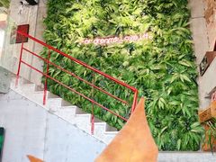 -腾爱熊猫咖啡生活馆(老东门店)