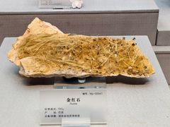 -湖南省地质博物馆