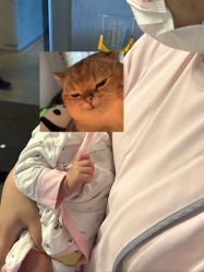 -尚圣月子会所·庄园式月子中心(萧山湘湖店)