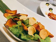 金蒜云椒牛肝菌-梧桐