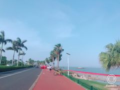 -黄金海岸环岛路