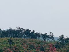-木兰云雾山