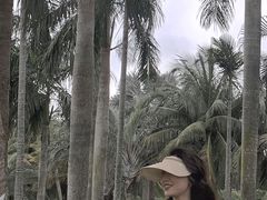 -万绿园